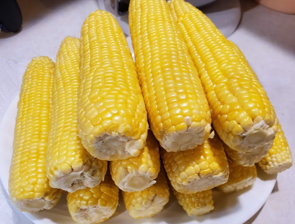 Farm fresh Corn on the Cob